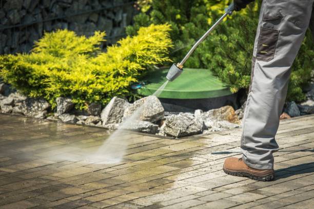 Best House Exterior Washing  in Rushvle, IL